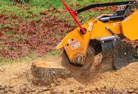 Best Seasonal Cleanup (Spring/Fall)  in Zillah, WA